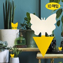 나비 끈끈이 트랩 양면 10장, 나비 끈끈이 트랩 10장, 1개