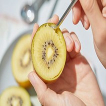 브랜드없음 전남 보성 국내산 골드키위 5kg / 특대, 단품없음