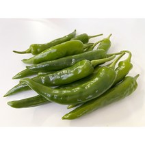 국내산 오이고추 아삭이 오이맛 고추, 오이맛 고추 한팩 (300g)