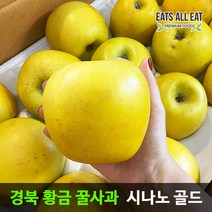 이츠올릿 경북 시나노 골드 황금 꿀사과 5kg (가정용 중소과 19-21과) 노란 스위트 사과 청송 밀양 얼음골