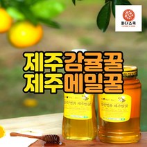 제주 천연벌꿀 100% 메밀꿀 감귤꿀 바퀴달린집꿀 메밀꽃꿀 농장 산지직송, 메밀꿀 1kg