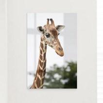 아트박스/꾸밈 ih807-아크릴액자_기린아트, 2.기린아트-냠