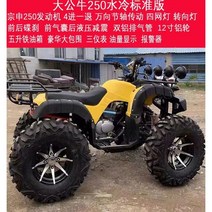 ATV 4륜 구동 자동 오토바이 스쿠터 전기 산악 지형 오프로드 가솔린, BigBull250cc수냉식스탠다드버전12인치알루미늄휠