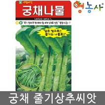 궁채씨앗 500립, 단품