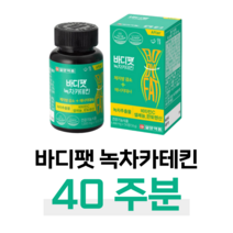 녹차 카테킨 다이어트 하루 2알 식후 결혼 준비 예비 신부 예비 신랑 체지방 감소 도움 항산화 도움 30대 결혼 준비 건강 기능 식품 홈쇼핑 추천 영양제 성분 가격 효능 비교, 40주분, 1000mg x 56정 (하루2정)