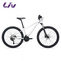 LIV 학생용 알루미늄 합금 30 단 서스펜션 유압 디스크 브레이크 산악 자전거 자이언트mtb산악 스타일 style, B30단, 27.5인치