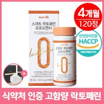 락토페린 다이어트 뱃살 장용성 락토페린 살사라진 휴온스 식약처 인증 제품 [옵션 구매 택1] + 사은품 증정, 2개, 스마트 락토페린(60정)