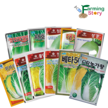 맛좋은무배추 김장준비 휘파람골드 황금배추 서호무 씨앗, 9. 맛있는가을베타(300립)