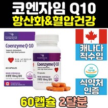 코엔자임 q10 코큐탠 항산화 제 영양제 추천 유비퀴놀 코큐텐 큐텐 coq10 건강 관리 높은 혈압 감소 임산부 부모님 남자 중년 할머니 임신준비 남성 선물 도움 여자 노인