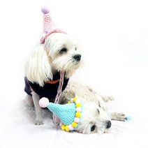 플라캣 강아지 고양이 생일 니트 꼬깔모자 특별한 날 생일파티, 2.스카이블루