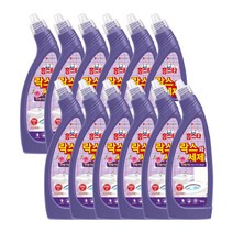 앨리house / 홈스타 락스와세제 후로랄파인 750ml 12개