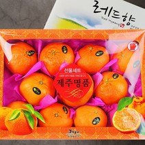 제주 레드향 선물세트 3kg (10-12과내외), 레드향 3kg 선물세트