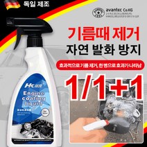 1/1+1엔진 세정제 500ml 자동차엔 진세척신기 독일 엔진세정제 가솔린 엔진세정제 세정+정비, 500ml*1+1, 엔진 세정제