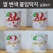 열반응관찰 변색 시온물감 스티커실험 5인 물질성질 만들기