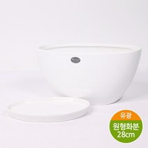 하모화분 타원형화분 200TY, 유광화이트 BH200TY-W