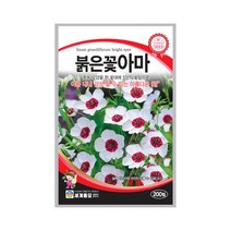 모칸도 (무배)세계 붉은꽃아마 꽃씨 200립, 1개