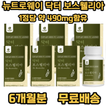 뉴트로웨이 닥터 보스웰리아 1000 식 약 처 인증 인도산 결정 셀룰로오스 우슬추출 분말 초록입홍합 분말 히알루론산 혼합분말 엽산 산화아연 비타민 부모님 가족 노인 필수 섭취 추천, 60정, 6개