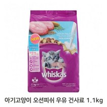 아기 고양이 건사료 1.1kg 1P 오션피쉬 우유 키튼, 본상품선택