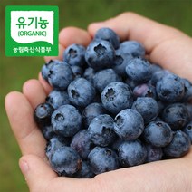 유기농 블루베리 생과 국산 당일수확 1kg 생블루베리 냉동과, 블루베리(소과)_1kg(냉동)