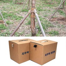 지주목밴딩바 천연수목밴드바 지주목채결바 뿌리감기 탄력바 지주목바 지주목밴드바, 지주목밴드바 22mmx170m 베이지색 1박스