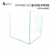아쿠아테라 국산 올디아망 초백어항 ATS-A45큐브 (6T), 단품