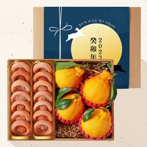 우리동네과수원 [1/18일 자정주문건까지 명절전배송] 정성가득 곶감650g+천혜향(4입)세트+보자기증정