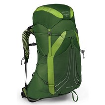 Osprey Exos 48 남성용 배낭여행 백팩 터널 그린 스몰 486494