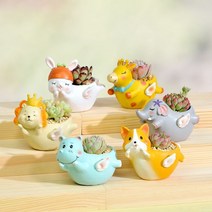 다육이화분 리톱스 아악무 듀가르손 만손초 트리옵스 다육이알뜰장터 다유기 G, 4번