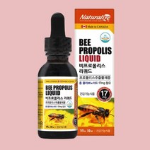 네츄럴라이즈 비 프로폴리스 액상 30ml 스포이드타입
