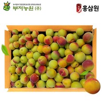 광양 유기농 홍매실 특상품 10kg 3박스 6월29일발송, 홍매실 특상품 10kg 3박스 6월중순예약