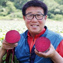 삿갓유통 달고 싱싱한 6시 내고향 햇 레드비트, 3kg, 1박스