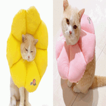 강아지 고양이 방수 쿠션넥카라 꽃모양 중성화수술후 관리 오버그루밍방지, 핑크/XL