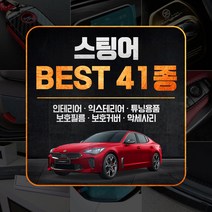 [골져스] 스팅어 튜닝 악세사리 DIY 몰딩용품 모음 41종, 34번.실리콘 선정리 클립-그린