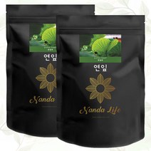 푸르담 국산 연잎차 티백, 100개