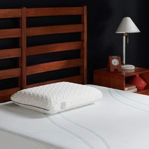 템퍼 템퍼페딕 스탠다드 클라우드 소프트 베개, Tempur Pedic Cloud Pillow Stan