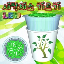 LED 새싹 기르기 씨앗발아기 (1인용) 씨앗 키우기 과학실험 체험학습 초등학교교구