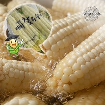 [팜쿡]괴산 삶은 대학찰옥수수 냉동 9개(팩당3개), 단품