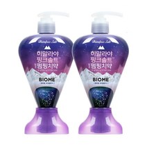 LG생활건강 [LG생활건강] 히말라야 핑크솔트 바이옴 펌핑치약 치약, 285g, 2개