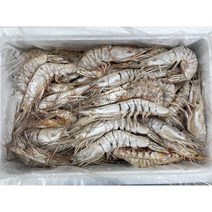 서해 신진도 조업 자연산 급냉 대하 2kg