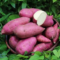 [팔도농장] 친환경팔도 세척 꿀 밤고구마, (중)3kg