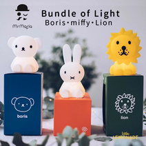보리스 번들 오브 라이트 미니LED등