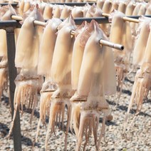 가락마켓국내산 반건조 오징어 파치(1kg 내외), 1개, 1kg
