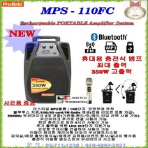 Pro-main 블루투스충전형앰프 MPS-110FC(350W출력) 블루투스 스피커/무선마이크 2개포함/MP3재생/교육장/회의실/매장홍보/강의실/야외행사및 홍보용 소형엠프시스템, E타입(핀+헤드마이크 타입)