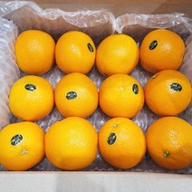 고당도 네이블 오렌지 특대과 20과 6kg 내외