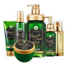 엘라스틴 프로폴리테라알로에 샴푸 트리트먼트 헤어팩 드라이미스트 헤어세럼 듀얼헤어세럼, 알로에듀얼헤어세럼100ml