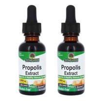네이쳐스앤서 프로폴리스 2000mg 액상 20ml 2병, 액상 20