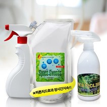 [당일출고] 피톤치드35 코팅제1000ml 새집증후군제거제 셀프시공방법 스프레이
