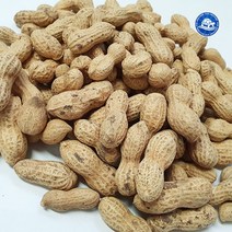 장수왕 국산 피땅콩 (볶음땅콩) 500g 햇 땅콩 부럼 알땅콩 정월대보름 중부시장도매, 1봉