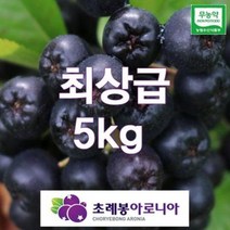 23년 유기농 자연초생재배 초례봉아로니아냉동생과 최상급 5kg(꼭지제거) / 농장 직배송