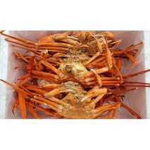 (속초바다애) 속초 홍게 국물용 3KG 자숙홍게 찜후 포장 산지직송, 1개